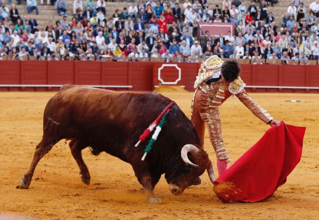 El toledano Álvaro Lorenzo, en uno de los buenos naturales que ha dado esta tarde en la Real Maestranza