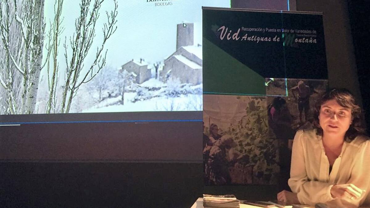 Las variedades de vid antiguas de montaña protagonizaron la Jornada Ganadera de Montaña