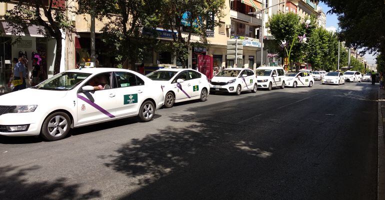 La marcha lenta de taxis, a su llegada a la calle Roldán y Marín.