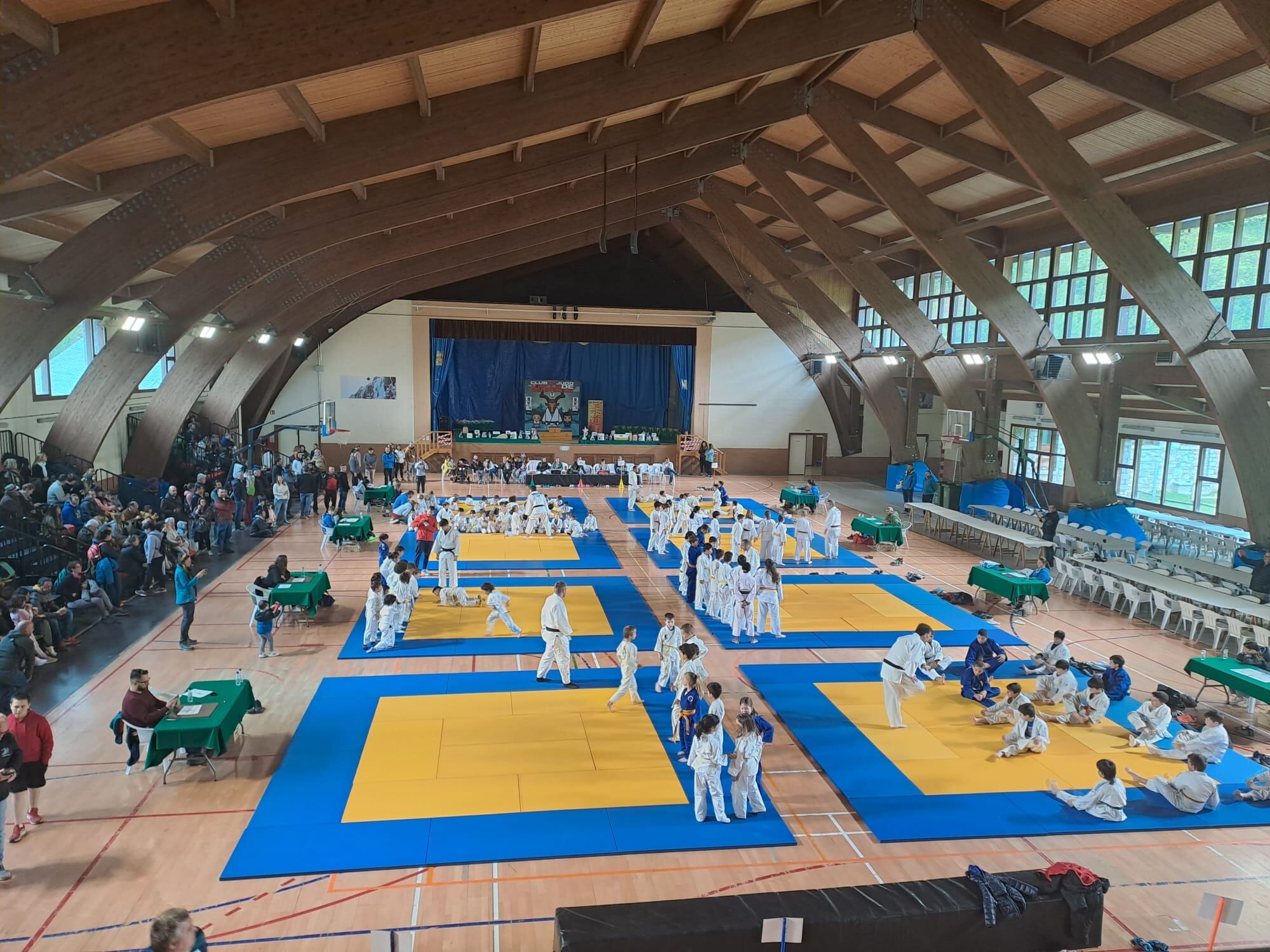 Benasque vivió una gran jornada de judo