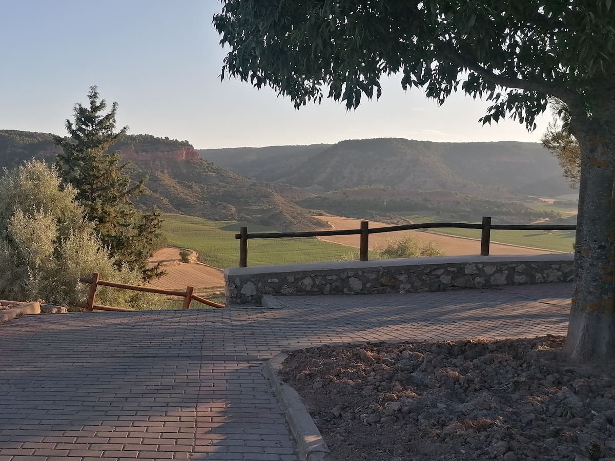 La ruta del Monte de Abajo en Cuevas de Velasco: un pinar con legado visigodo