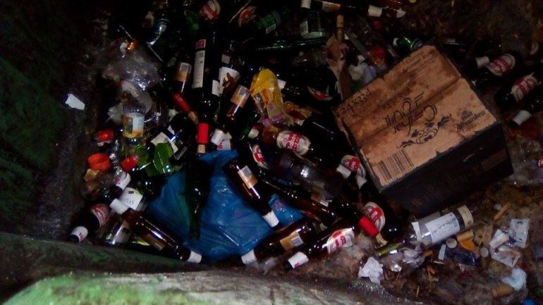 Vidrios depositados en el interior del contenedor de basura orgánica