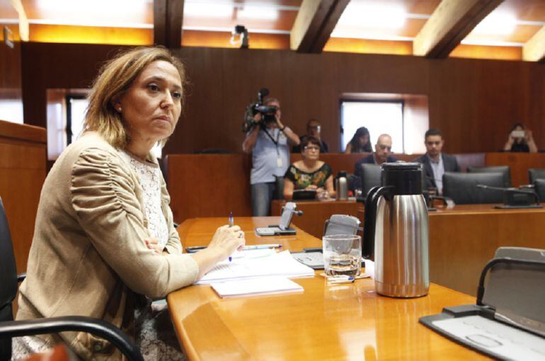 Mayte Pérez, consejera de Educación durante la comisión