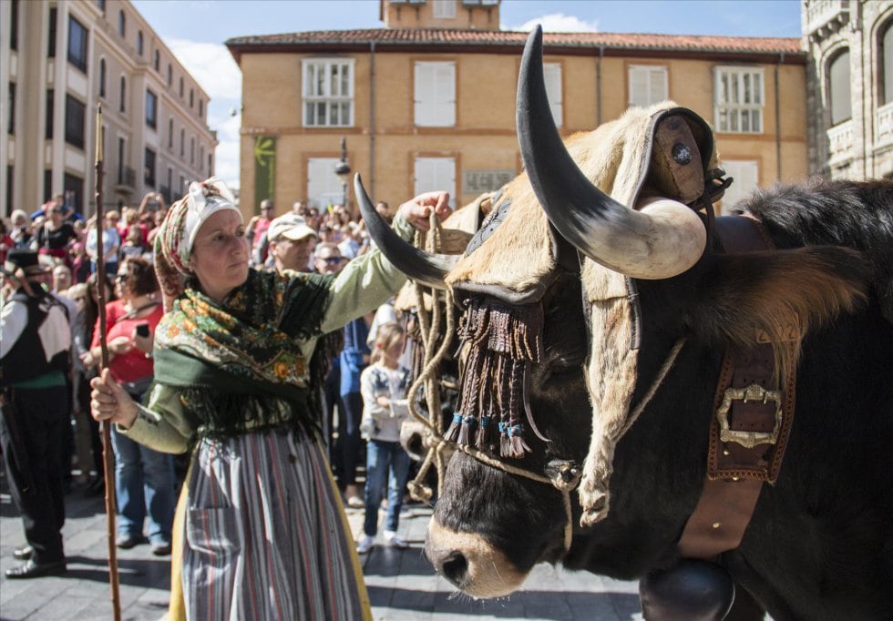 El inicio del desfile de los carros engalanados