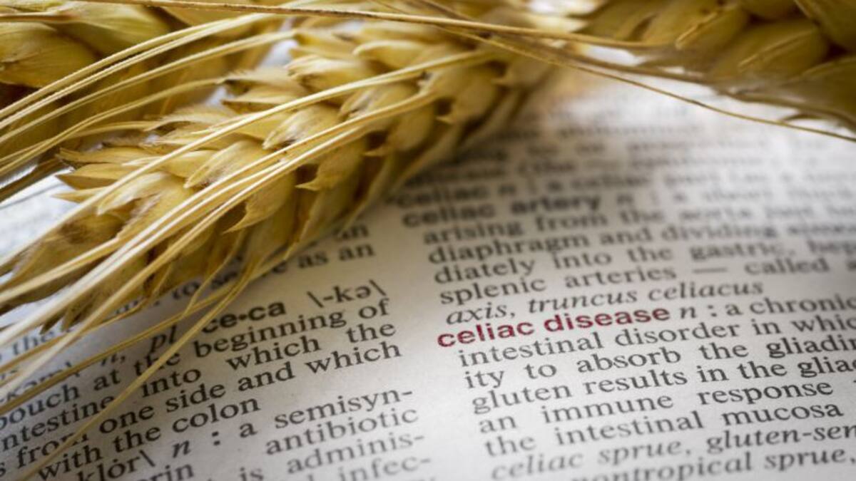 ¿Qué debes saber si eres celíaco?
