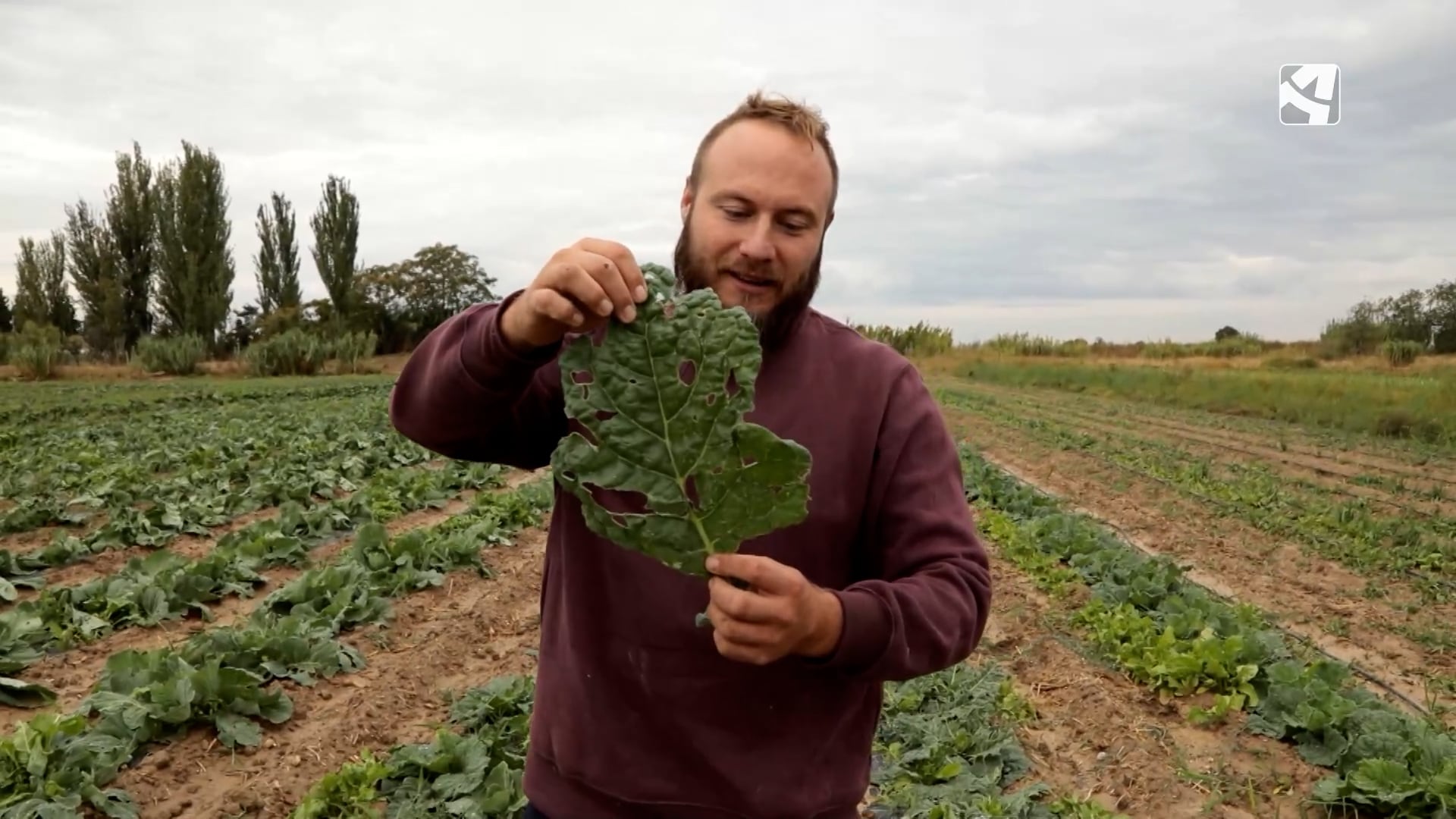 Imagen del programa El Campo es nuestro