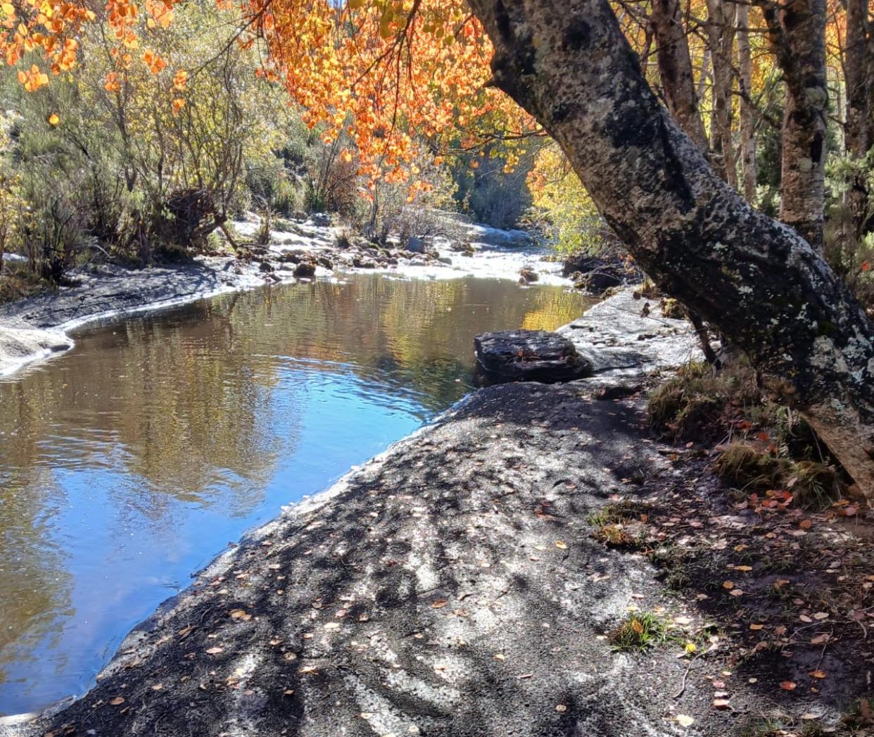 Contaminación por cenizas del incendio