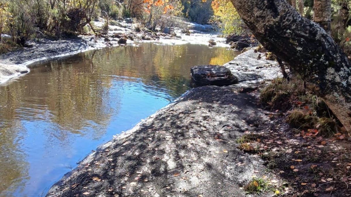 Las cenizas del incendio del Pico del Lobo contaminan el río Jarama y sus afluentes