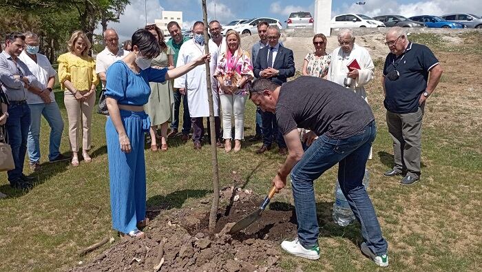 Plantación del árbol en el hospital
