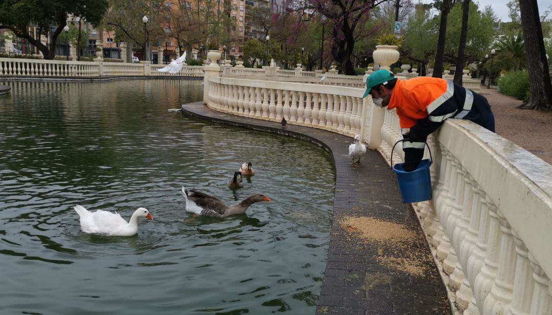 Parque Ribalta de Castelló