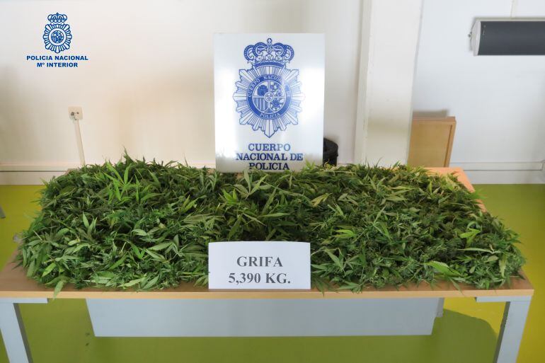 Parte de la grifa incautada