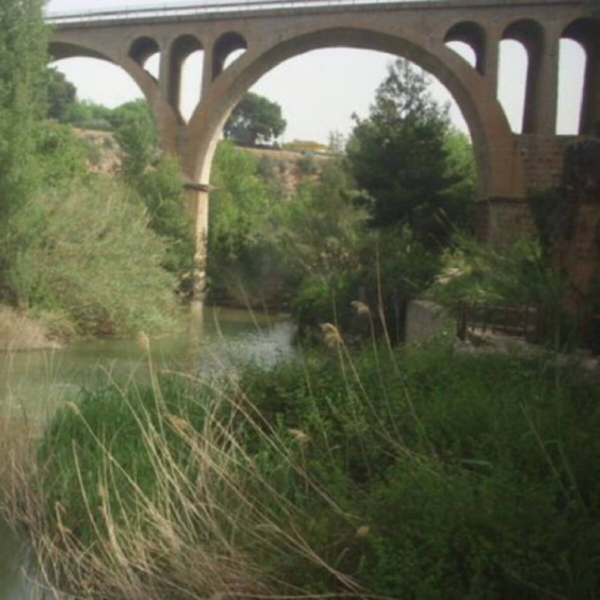 El Consorcio del Mijares denuncia la aparición de residuos químicos tóxicos en el paraje