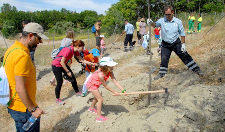Las familias dedicaron toda la mañana a plantar varios ejemplares de almeces