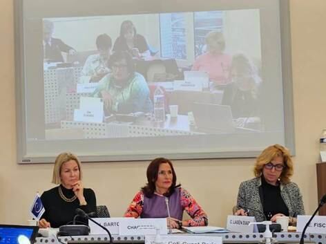 Luz Martínez Seijo, nombrada relatora general sobre Violencia contra la Mujer y presidenta de la Red Mujeres Libres de Violencia