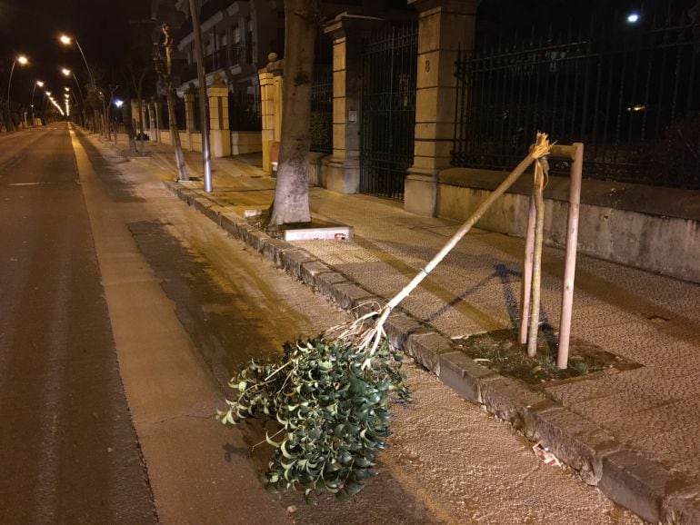 Árboles, papeleras, bancos y contenedores han sufrido daños durante la última Semana Santa.