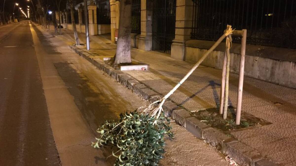 60.000 euros anuales para reparar mobiliario urbano