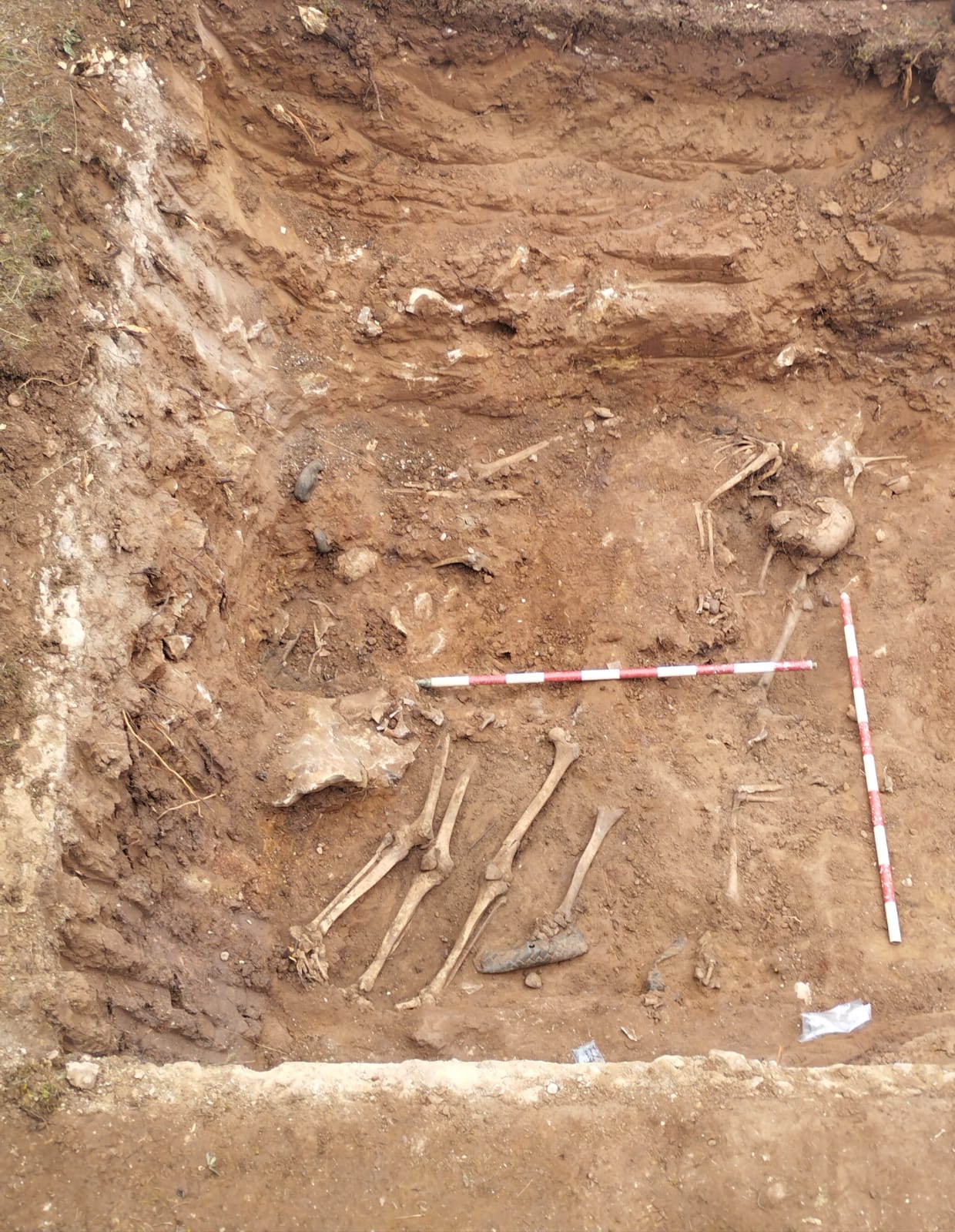 Restos en el cementerio de Las Casas