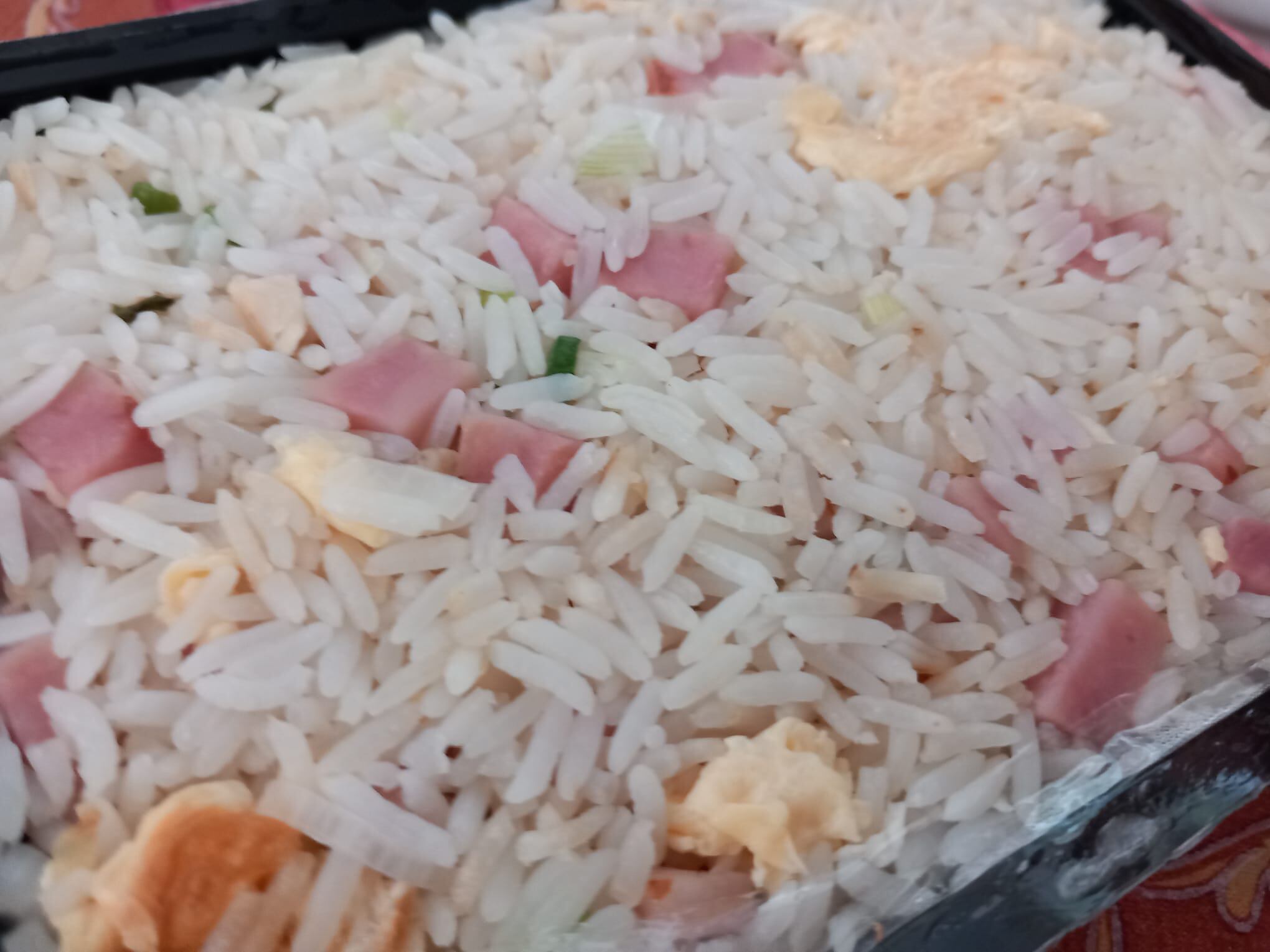 Arroz frito especial