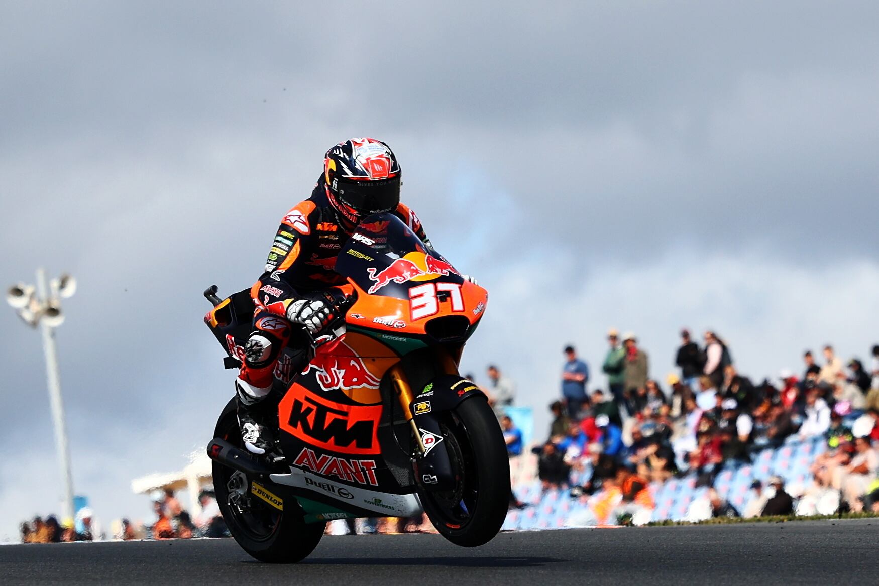 Portimao (Portugal), 24/03/2023.- Moto2 rider Pedro Acosta of Red Bull KTM Ajo in action during the second practice session for the the Motorcycling Grand Prix of Portugal at Algarve International race track, in Portimao, south of Portugal, 24 March 2023. The Motorcycling Grand Prix of Portugal will take place on 26 March 2023. (Motociclismo, Ciclismo) EFE/EPA/NUNO VEIGA
