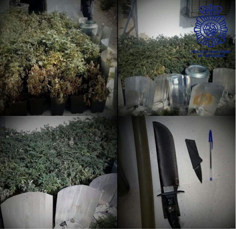 Marihuana aprehendida en Huelva