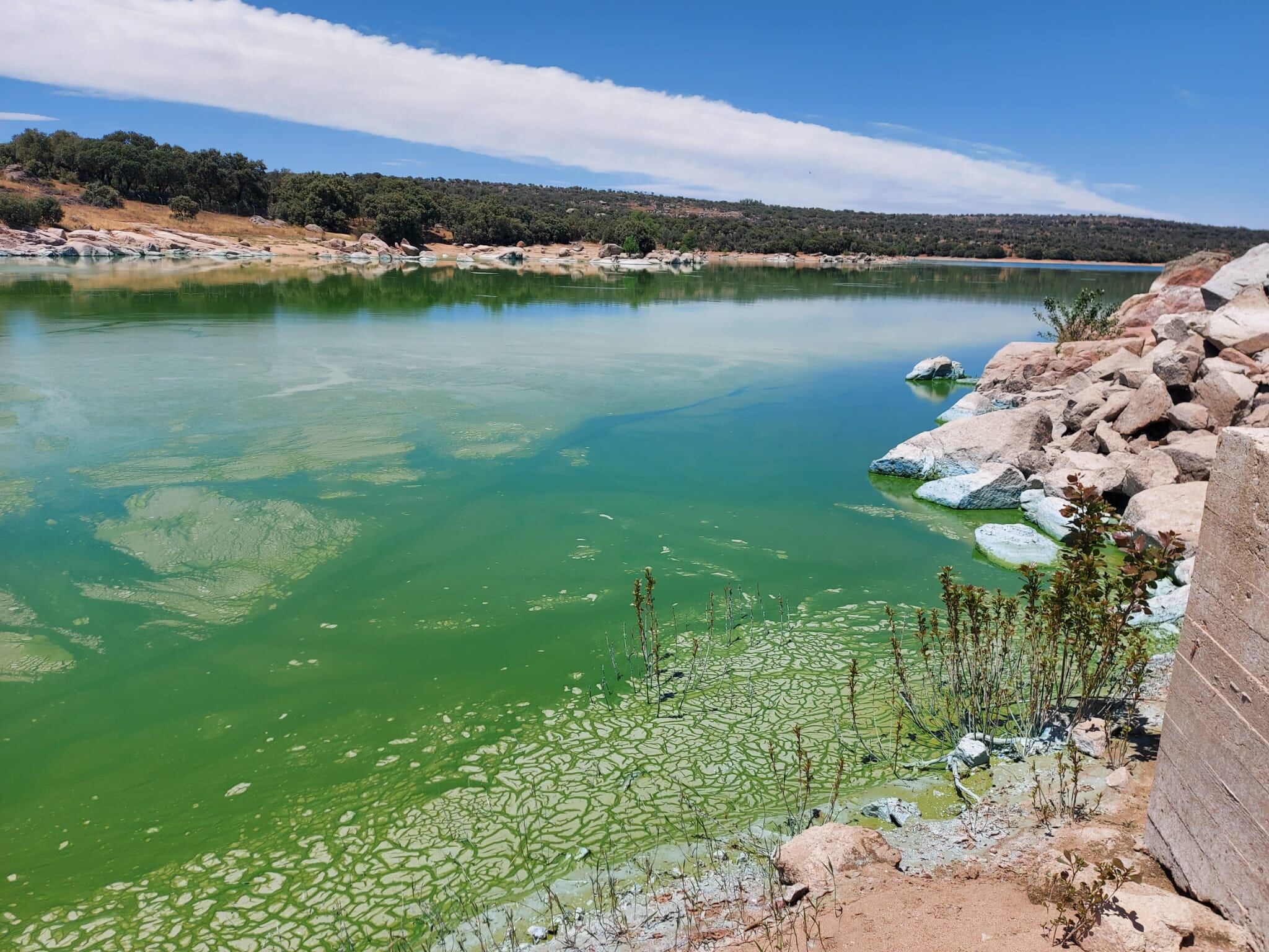 Así está la cola del pantano de Las Cogotas