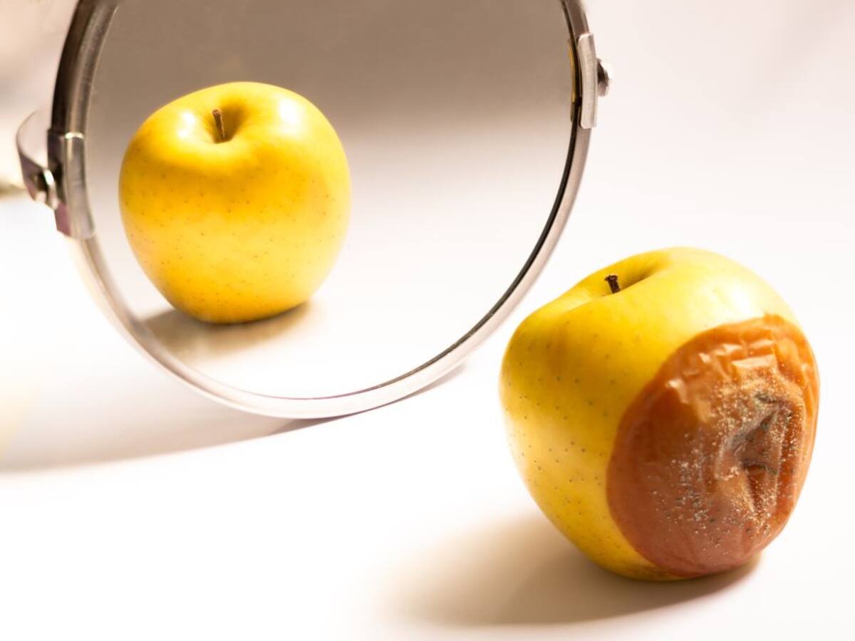 ¡Alerta, micotoxinas! Se acabó lo de quitar solo la parte con moho de los alimentos