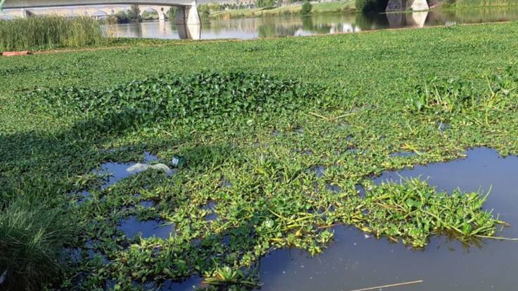 CHG y Salvemos Guadiana coinciden en acometer el dragado del río en Badajoz