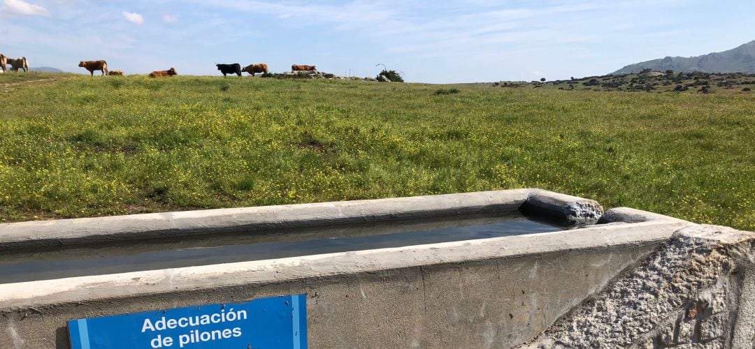 El alcalde, el popular Jorge García, asegura que el uso de la Dehesa ya está regulado a través del área de Medio Ambiente 