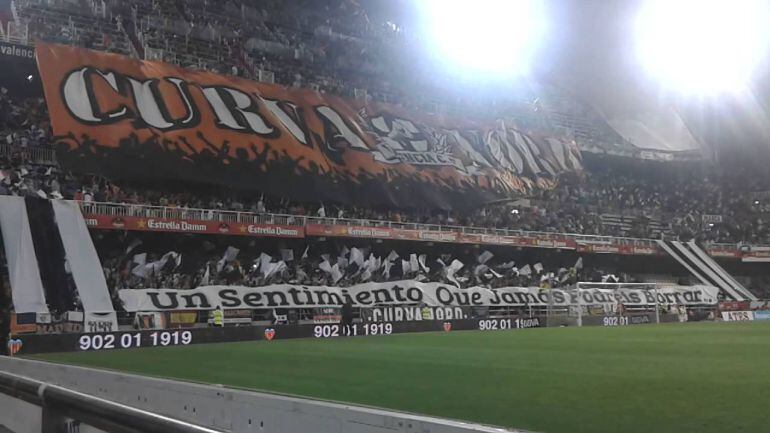 VCF