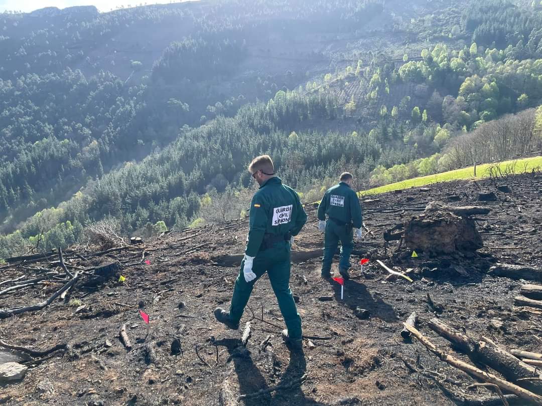 Investigación de incendio forestal en Allande.