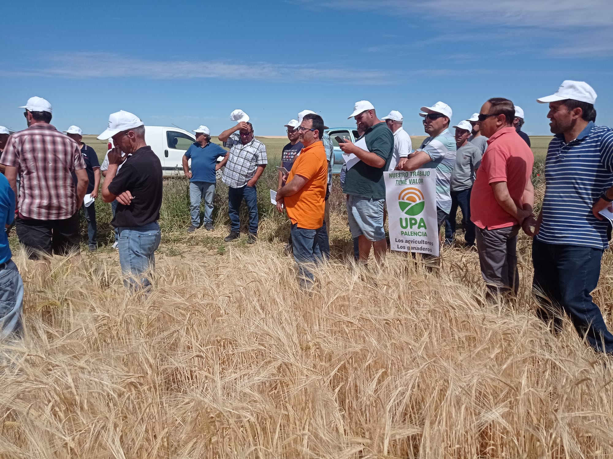UPA Palencia da a conocer el trabajo de su campo de ensayo en San Cebrián de Campos