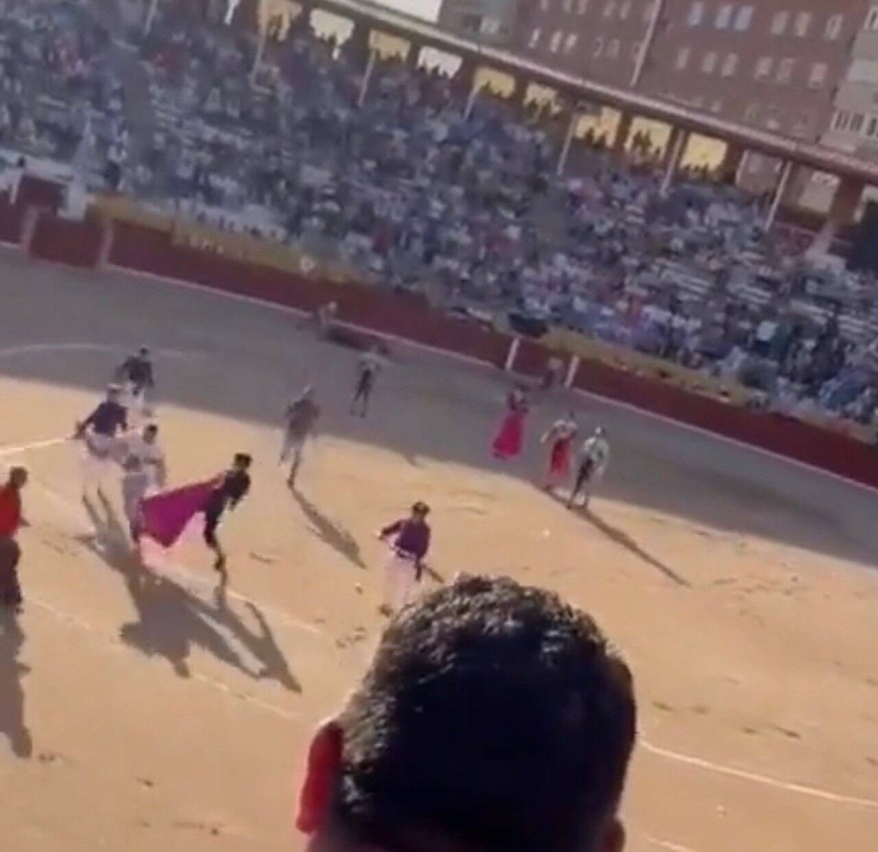 Cuadrillas y areneros persiguiendo al activista antitaurino