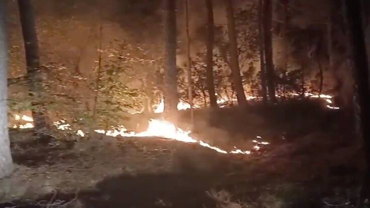 Maria Rosa Vila, alcaldessa d'Amer