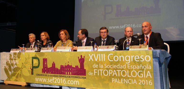 (IaD) El presidente de la SEF, Jesús Murillo; la vicerrectora del Campus de Palencia, Mercedes Sánchez; la presidenta de la Diputación, Ángeles Armisén; el alcalde de Palencia,Alfonso Polanco; el director general de Medio Natural, José Ángel Arranz; el pr