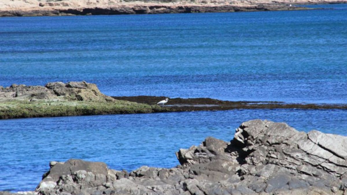 Asociaciones y activistas reclaman la aprobación del plan de ordenación de Marina de Cope