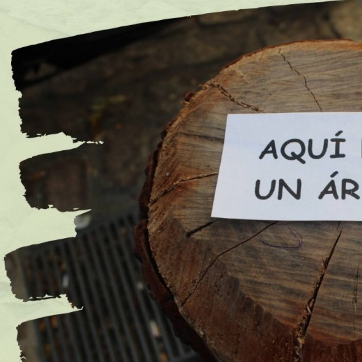 Vigo acoge esta semana la Asamblea Confederal de Ecologistas en Acción