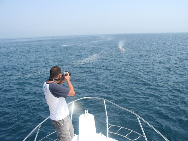 David Alarcón, fotografiando orcas en el estrecho.