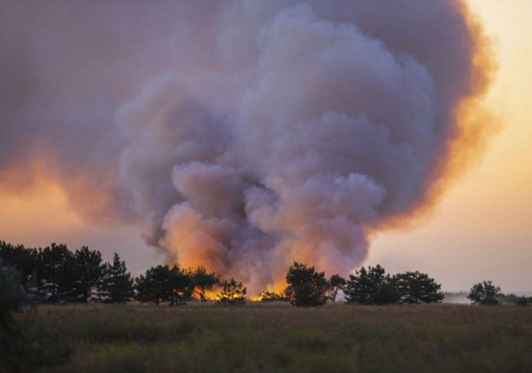 La Junta realizará actuaciones preventivas de incendios en Palencia por importe de 750.000 euros