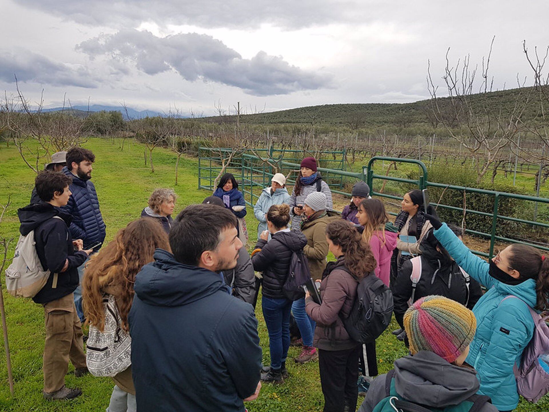 Visita a la granja