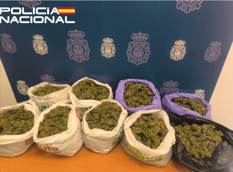 Marihuana incautada por la Policía Nacional en una urbanización de Puente Nuevo, en Jaén, en el marco de la Operación Leka II.