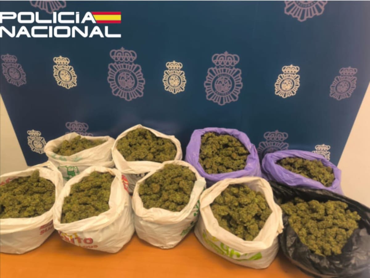 Desmantelada una plantación de marihuana en la ciudad de Jaén que abastecía a pequeños vendedores