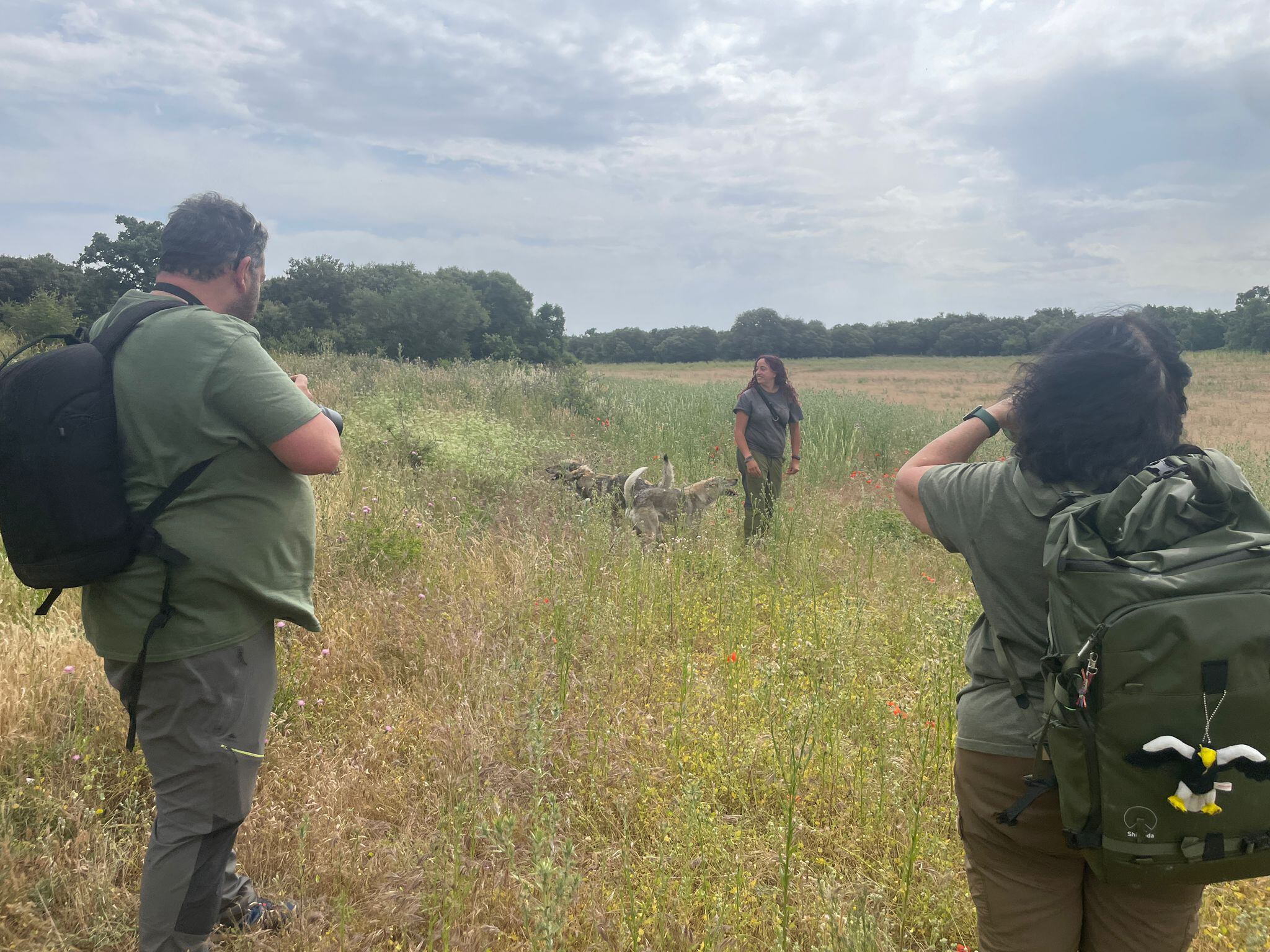 Taller práctico de fotografía con lobos