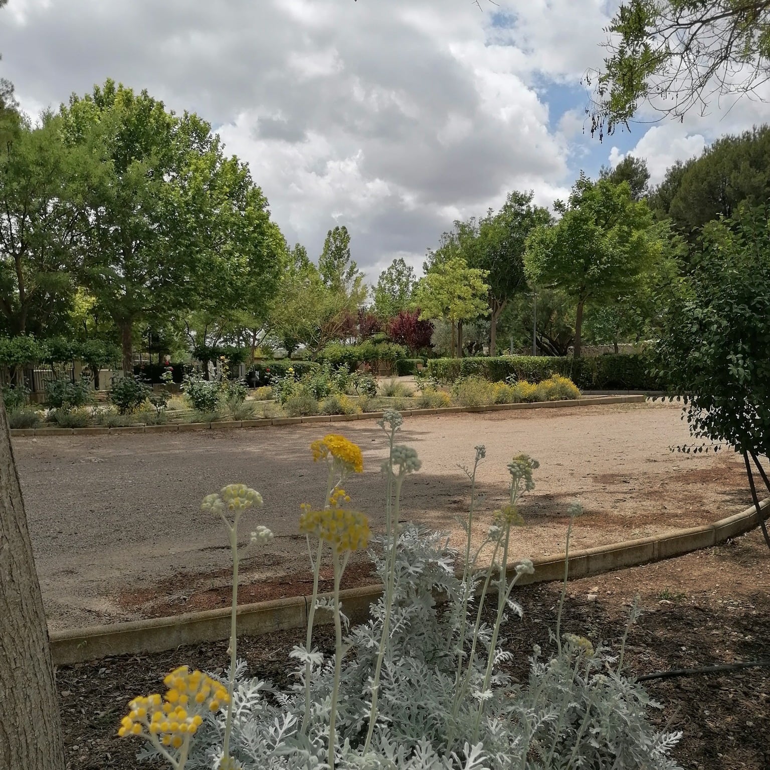 Parques y jardines. Caudete