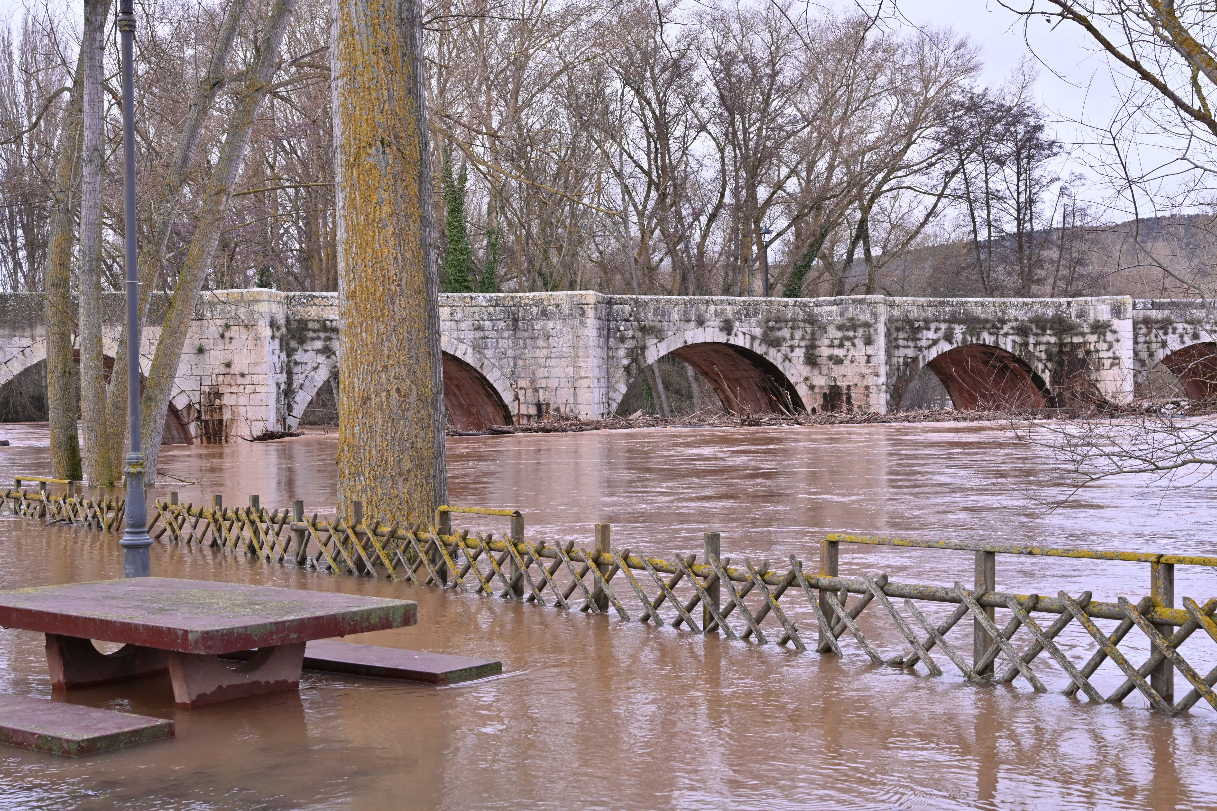 QUINTANA DEL PUENTE (PALENCIA), 07/02/2026.- La Confederación Hidrográfica del Duero (CHD) tiene activos 43 avisos hidrológicos por riesgo de desbordamientos, con 8 tramos en nivel rojo, uno de ellos en el río Arlanza a su paso por la localidad palentina de Quintana del Puente (en la imagen). EFE/ Almudena Álvarez