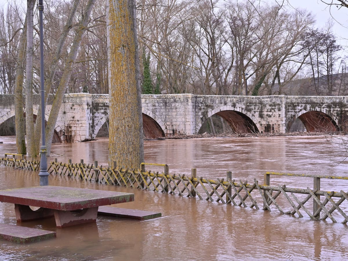 Reabierto el puente romano de Quintana del Puente tras el corte provocado por la crecida del Arlanza