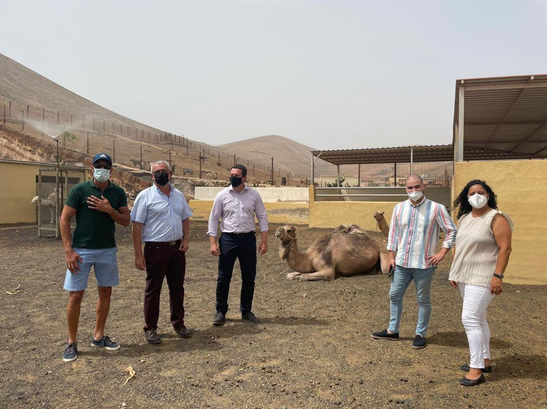El parlamentario lanzaroteño Jesús Machín Tavío, visitando a camelleros junto al alcalde de Yaiza, Óscar Noda y al primet teniente de alcalde, Ángel Domínguez.