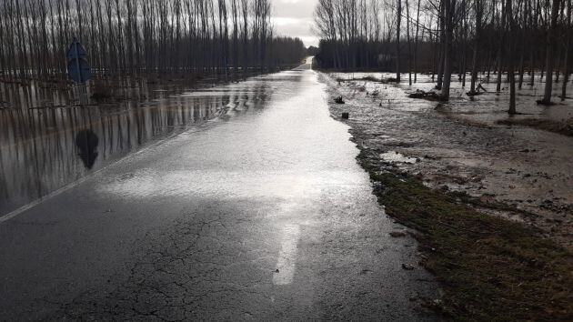 Carretera de entrada a Carbonero de Ahusín tras desbordarse el Río Eresma
