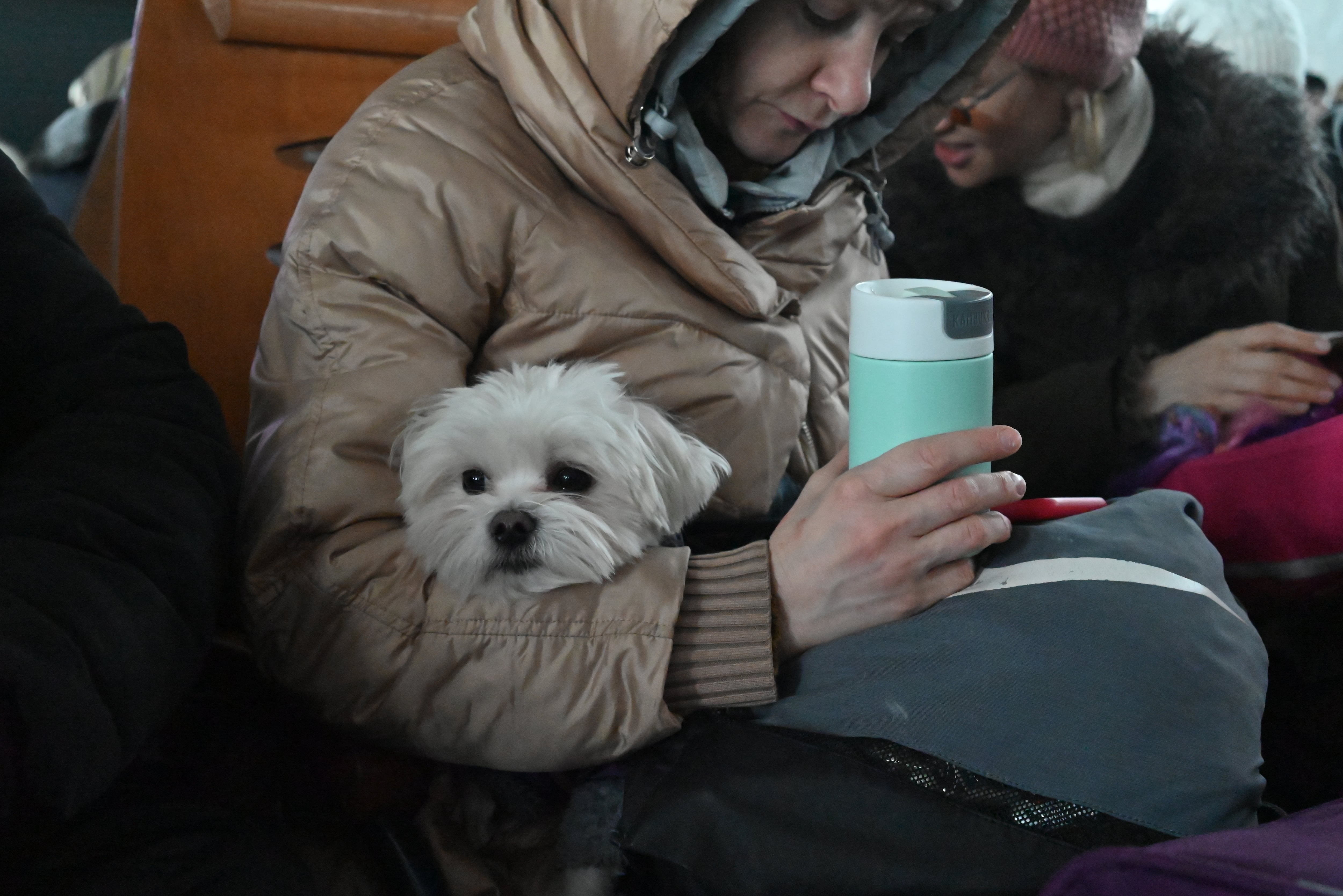 Éxodo masivo de Kiev en la Estación Central de Kiev. Una mujer se lleva a su mascota en brazos.  Decenas de miles de habitantes de la capital ucraniana han decidido coger sus bártulos e iniciar un largo éxodo con destino al oeste del país y, si es posible, al extranjero