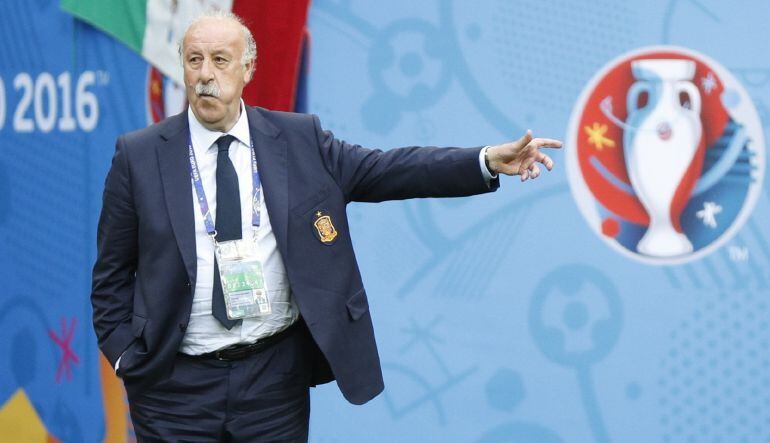 El seleccionador Vicente del Bosque, en el partido de octavos ante Italia.