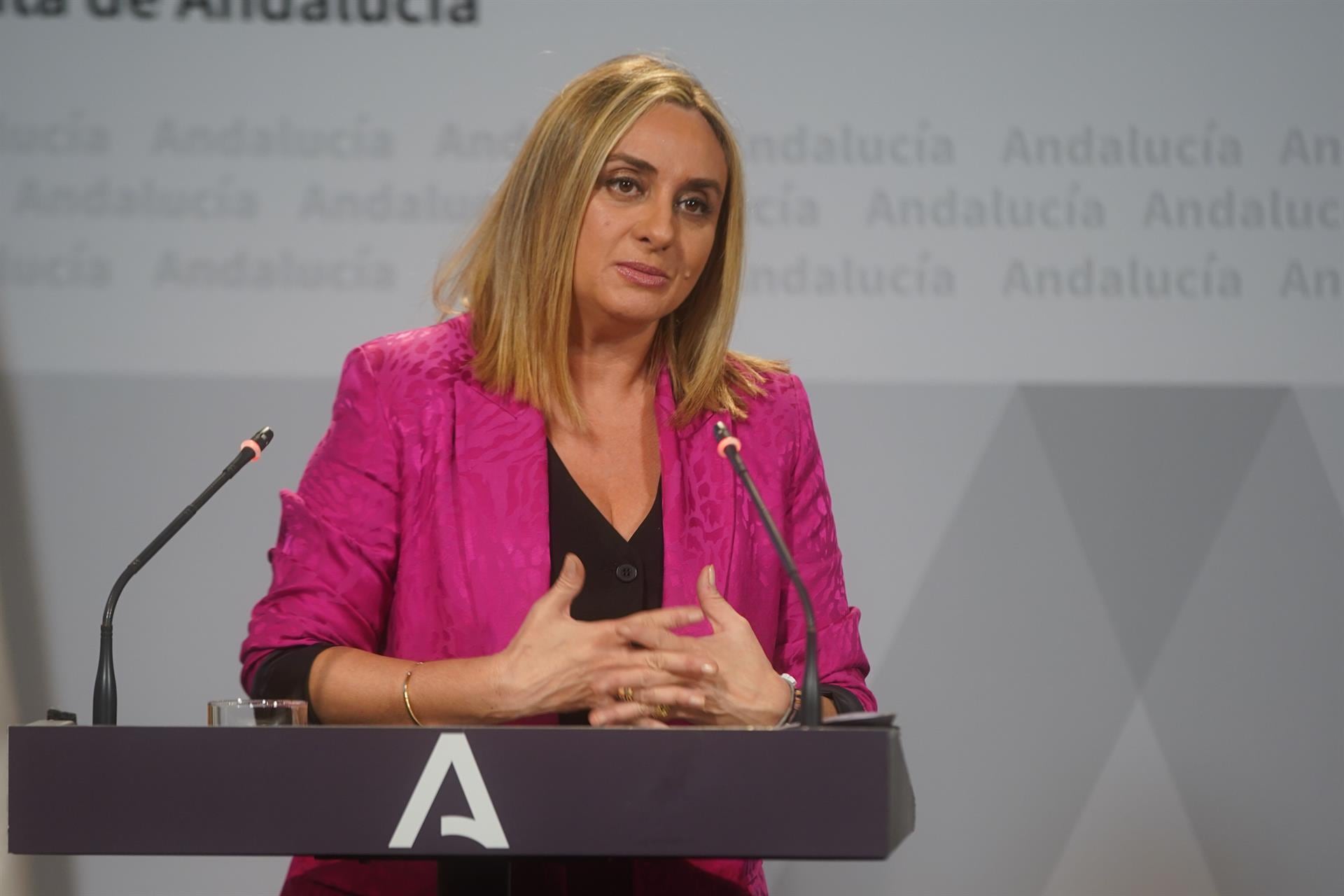 Marifrán Carazo, consejera de Fomento, en la rueda de prensa posterior al consejo de gobierno / Europa Press